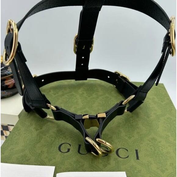 Gucci demetra , extra large leather dog harness made in Italy - Picture 13 of 14